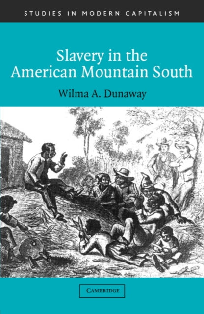 Book cover of: Slavery in the American Mountain South
