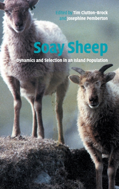 Book cover of: Soay Sheep