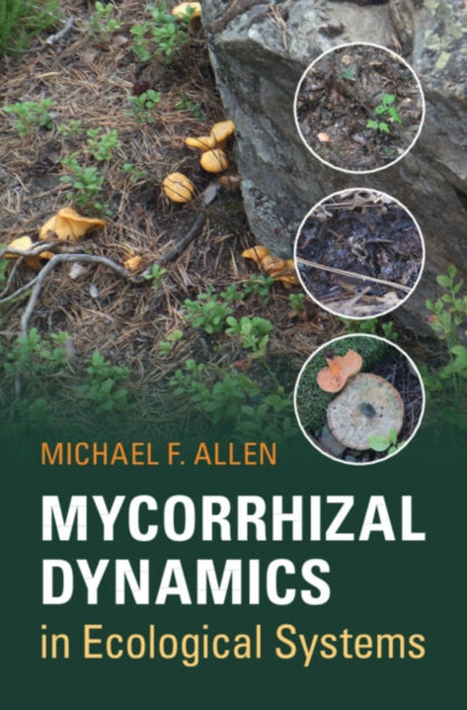 Book cover of: Mycorrhizal Dynamics in Ecological Systems. By: Michael F. Allen