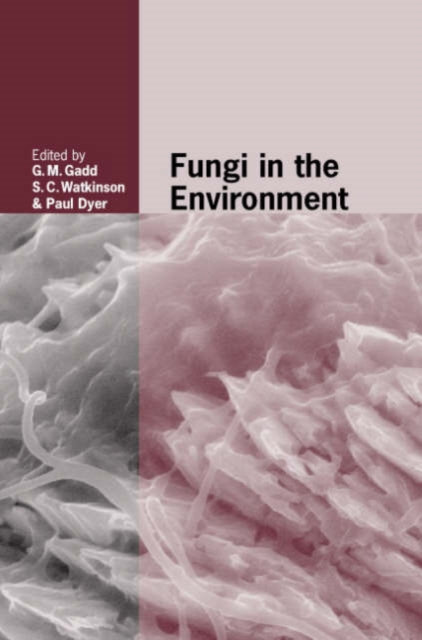 Book cover of: Fungi in the Environment