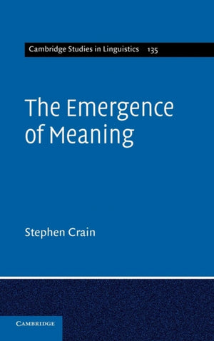 Emergence of Meaning