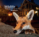 Book cover of: Wildlife Photographer of the Year 26