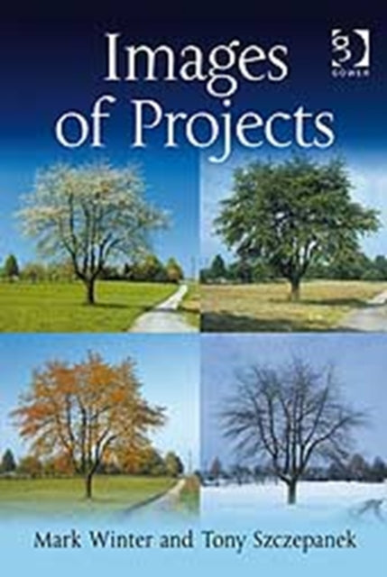 Book cover of: Images of Projects. By: Mark Winter