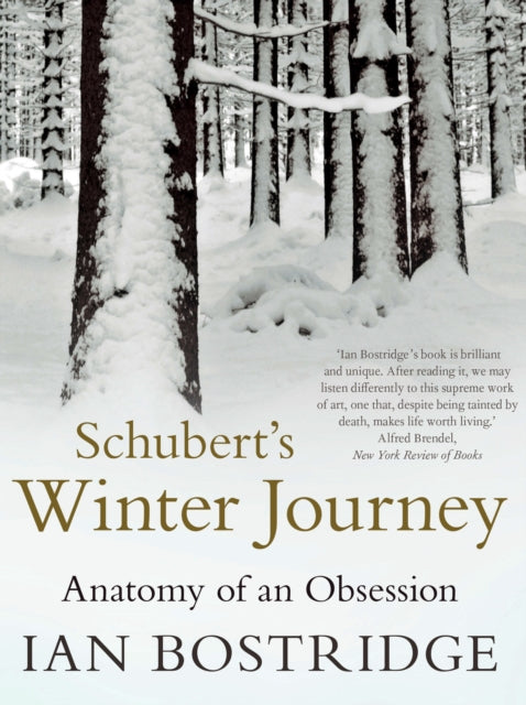 Book cover of: Schubert's Winter Journey. By: Howard Hughes