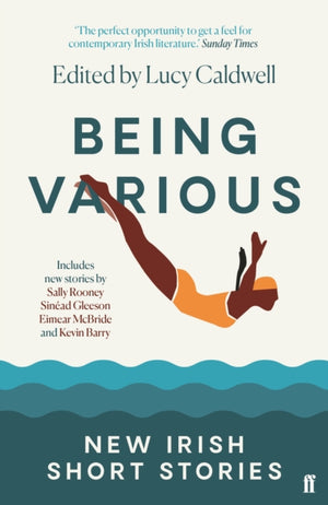 Being Various, New Irish Short Stories