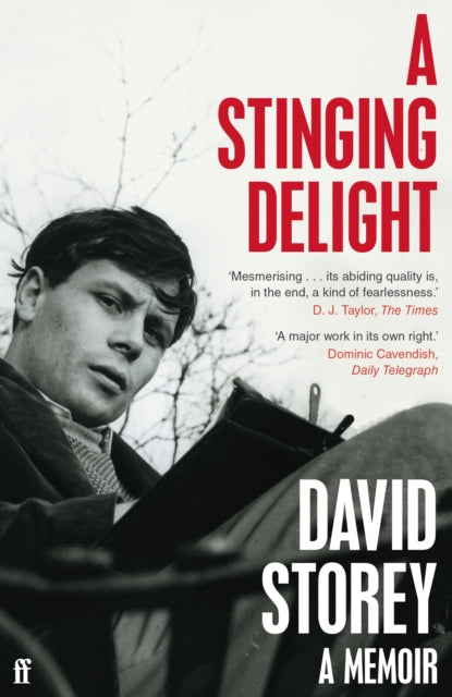Book cover of: Stinging Delight. By: David Storey