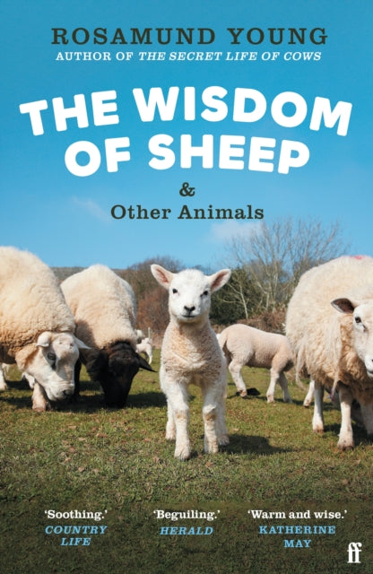 The Wisdom of Sheep & Other Animals, Observations from a Family Farm 9780571368266 Rosamund Young