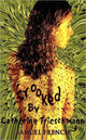 Book cover of: Crooked. By: Catherine Trieschmann