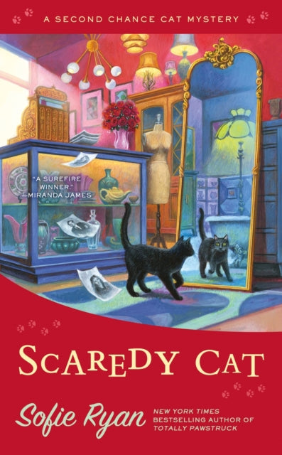 Book cover of: Scaredy Cat. By: Sofie Ryan