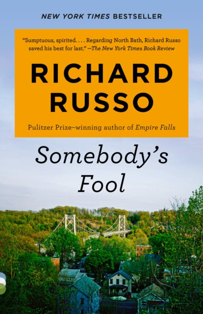 Book cover of: Somebody's Fool