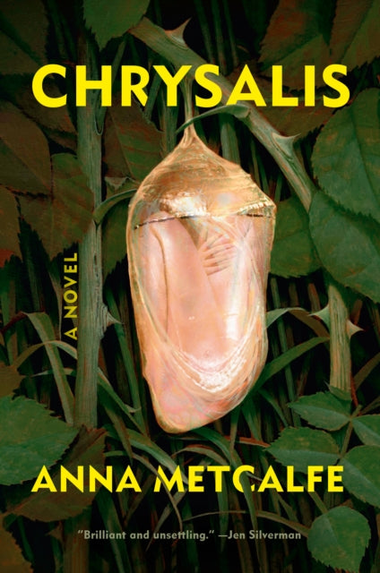 Book cover of: Chrysalis. By: Anna Metcalfe