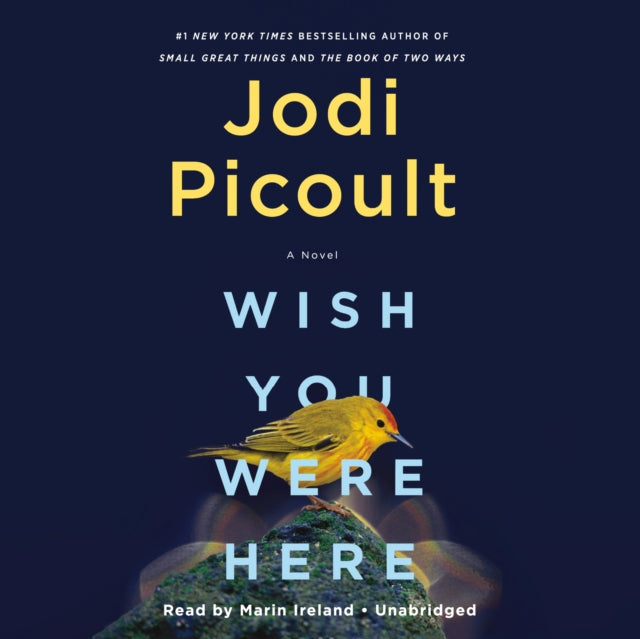 Book cover of: Wish You Were Here. By: Jodi Picoult