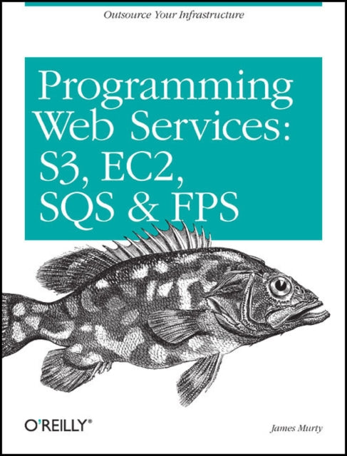 Book cover of: Programming Amazon Web Services. By: James Murty