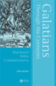 Book cover of: Galatians Through the Centuries. By: John Kenneth Riches, John Riches