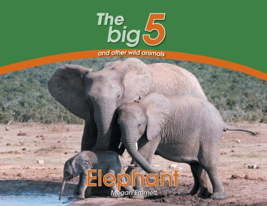 Book cover of: Elephant. By: Megan Emmett
