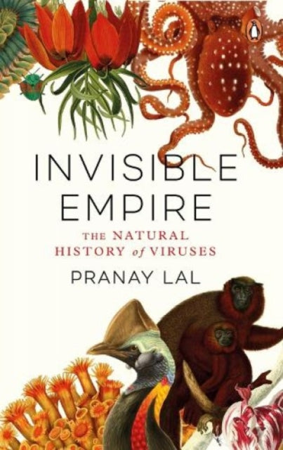 Book cover of: Invisible Empire. By: Pranay Lal
