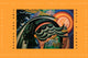 Book cover of: Time and Chance. By: David Z. Albert