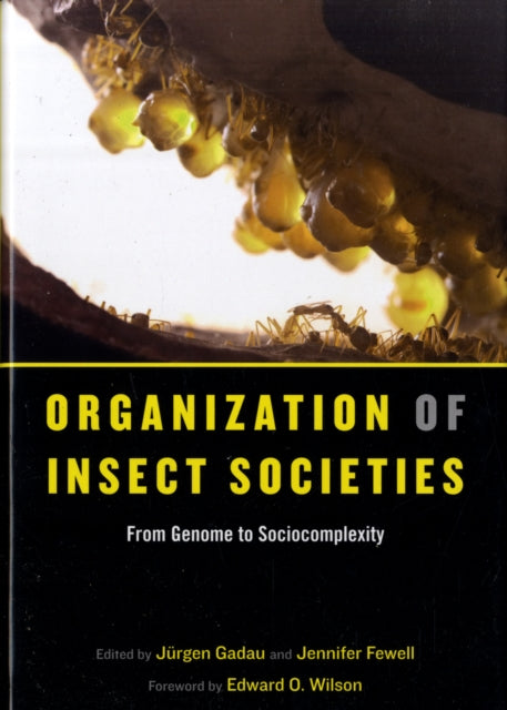 Book cover of: Organization of Insect Societies