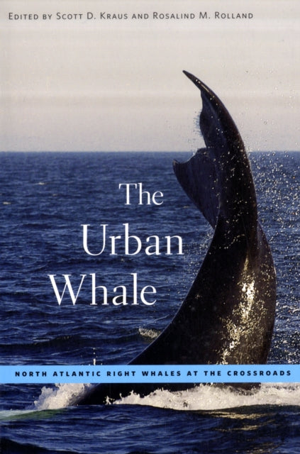 Book cover of: Urban Whale