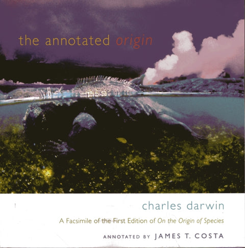 The Annotated Origin