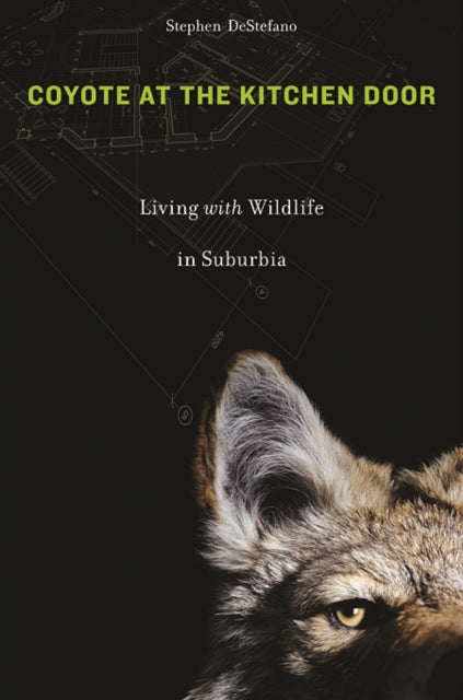Book cover of: Coyote at the Kitchen Door. By: Stephen DeStefano