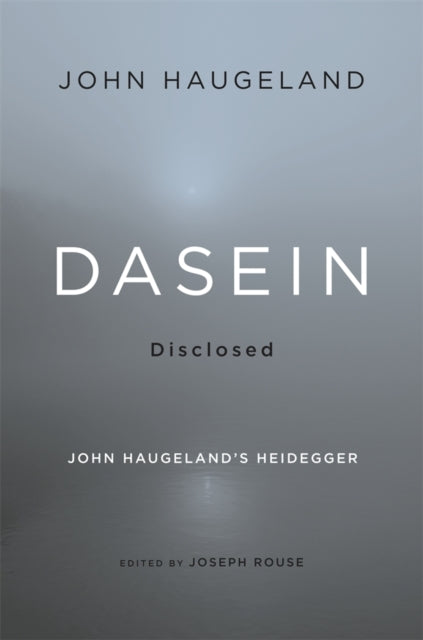 Book cover of: Dasein Disclosed