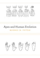 Book cover of: Apes and Human Evolution. By: Russell H. Tuttle