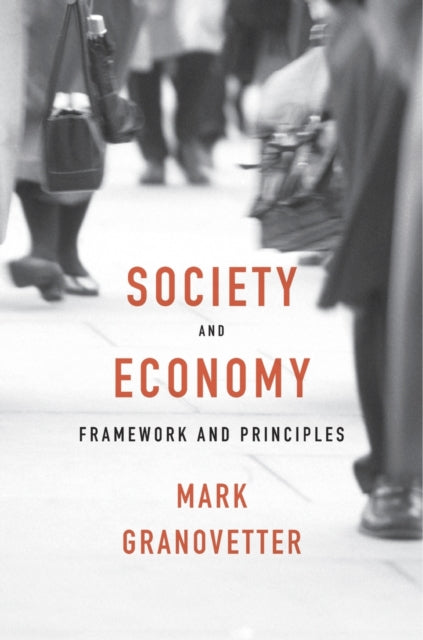Book cover of: Society and Economy. By: Mark Granovetter