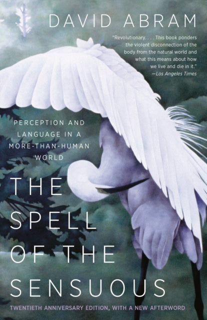 Book cover of: Spell of the Sensuous. By: David Abram