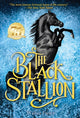 Book cover of: Black Stallion