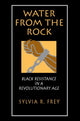 Book cover of: Water from the Rock. By: Sylvia R. Frey
