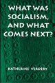 Book cover of: What Was Socialism, and What Comes Next?