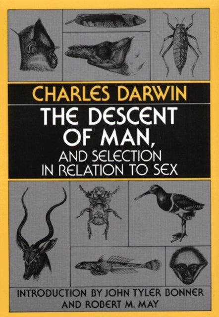 Book cover of: Descent of Man, and Selection in Relation to Sex