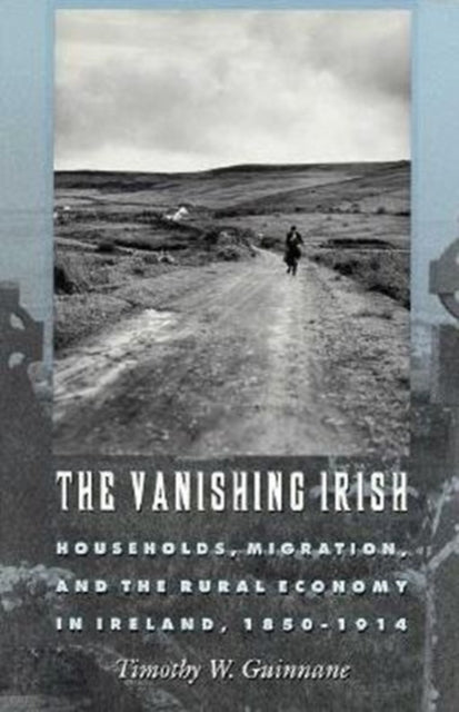 Book cover of: Vanishing Irish