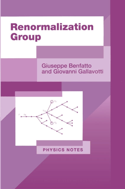 Book cover of: Renormalization Group