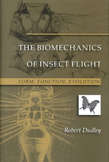 Book cover of: Biomechanics of Insect Flight. By: Robert Dudley