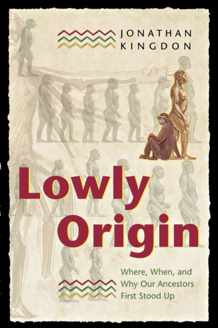 Book cover of: Lowly Origin. By: Jonathan Kingdon