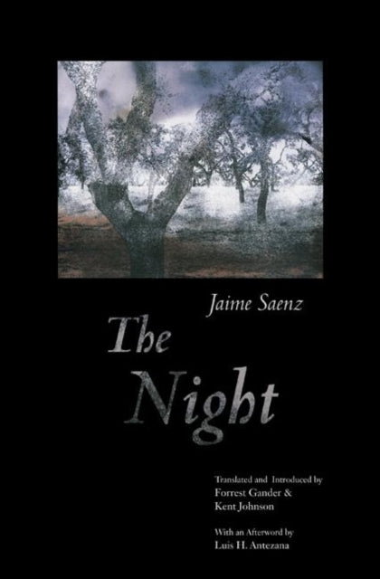 Book cover of: Night. By: Jaime Sáenz, Jaime Saenz