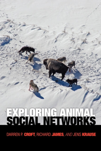 Book cover of: Exploring Animal Social Networks. By: Darren P. Croft
