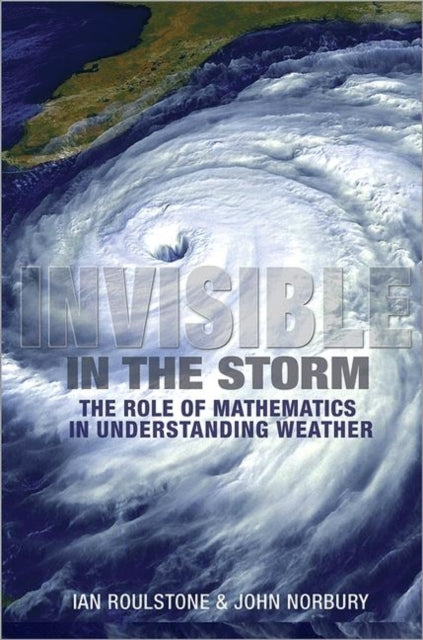 Book cover of: Invisible in the Storm