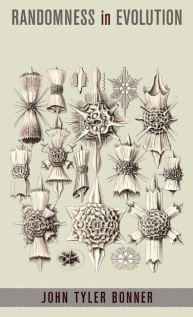 Book cover of: Randomness in Evolution