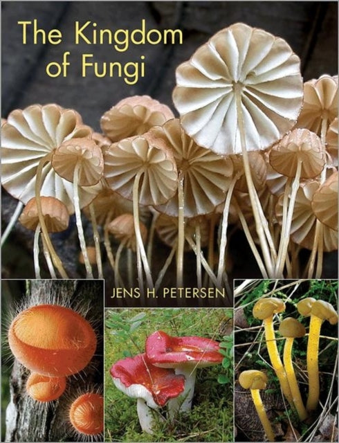 Book cover of: Kingdom of Fungi