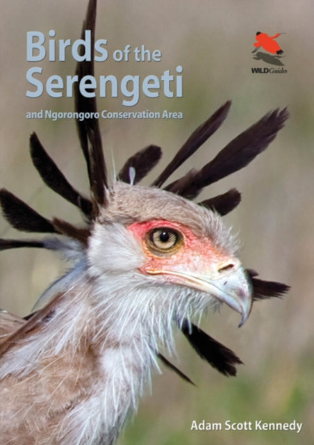 Book cover of: Birds of the Serengeti