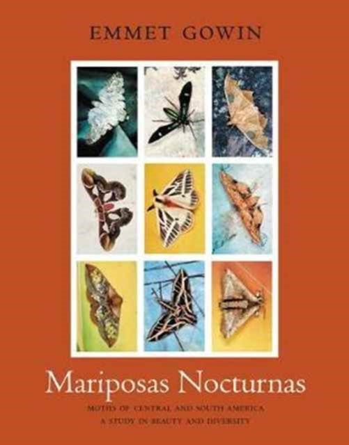 Book cover of: Mariposas Nocturnas. By: Emmet Gowin