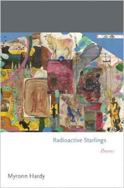 Book cover of: Radioactive Starlings