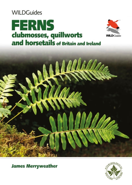 Book cover of: Ferns. By: James Merryweather