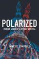 Book cover of: Polarized. By: James E. Campbell