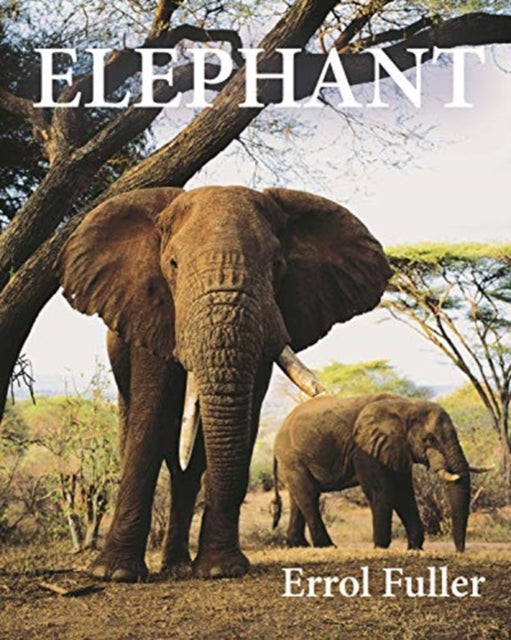 Book cover of: Elephant. By: Errol Fuller