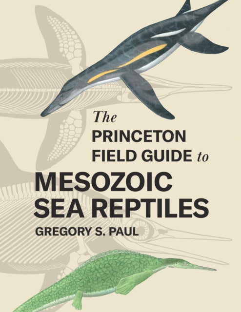 Book cover of: Princeton Field Guide to Mesozoic Sea Reptiles. By: Gregory S. Paul