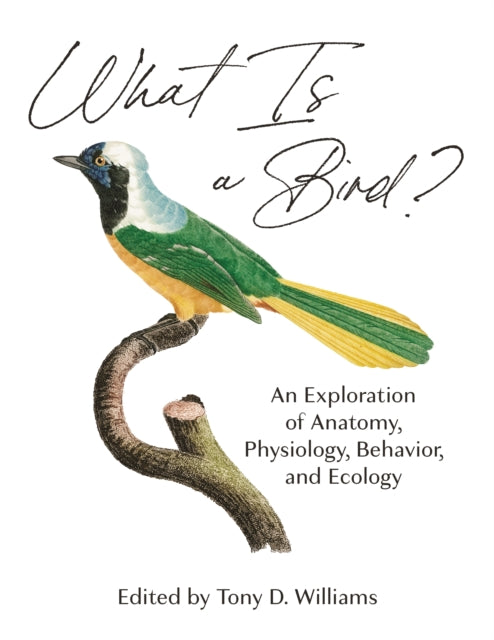 Book cover of: What Is a Bird?. By: Tony D. Williams